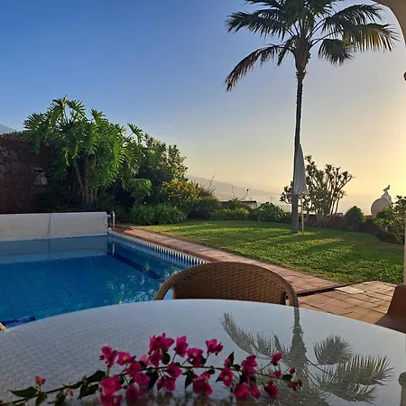 Gecko サンタ・ウルスラ