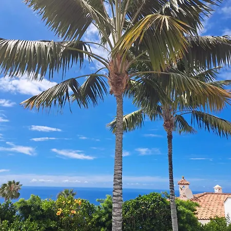 Gecko Санта-Урсула